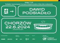 Bilety Dawid Podsiadło CHORZÓW Stadion Śląski sektor 35D