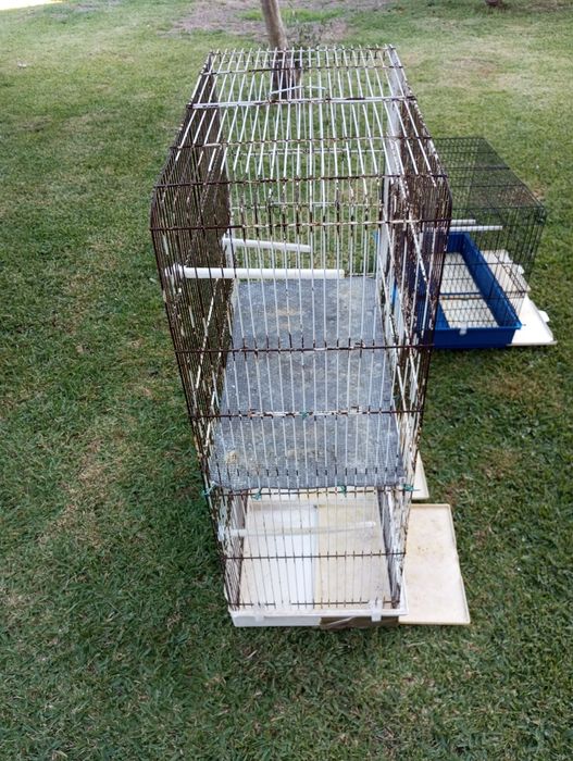 Gaiola para aves