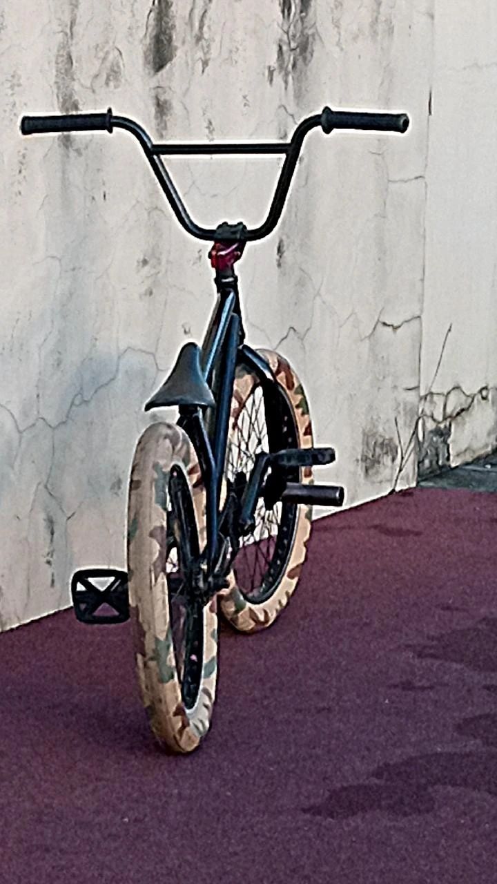 BMX specialized pro