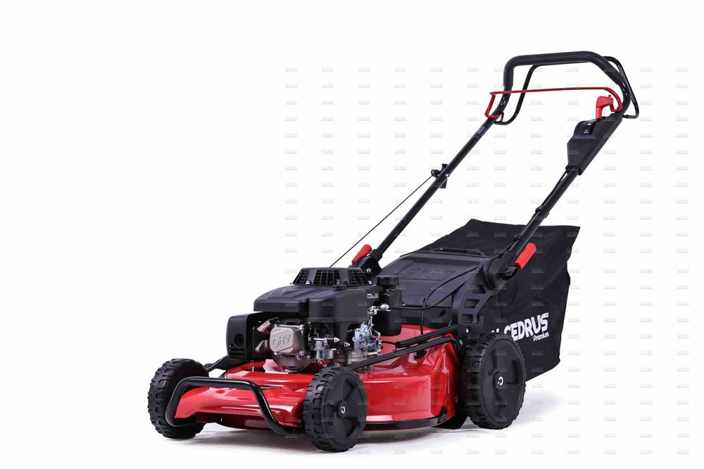 Kosiarka spalinowa Cedrus Premium z napędem CEDLP53S-L