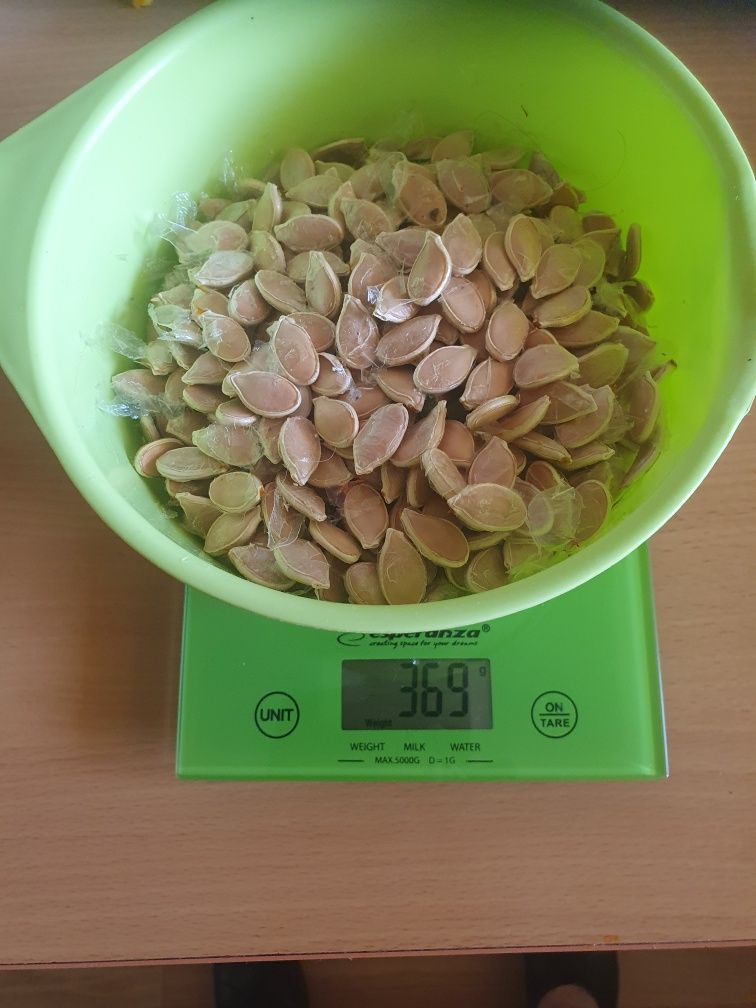 Pestki dyni hokkaydo