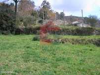 Terreno, Aboim da Nóbrega