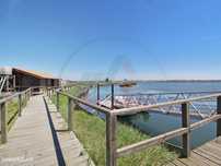 Ilha Para Venda - Ria De Aveiro