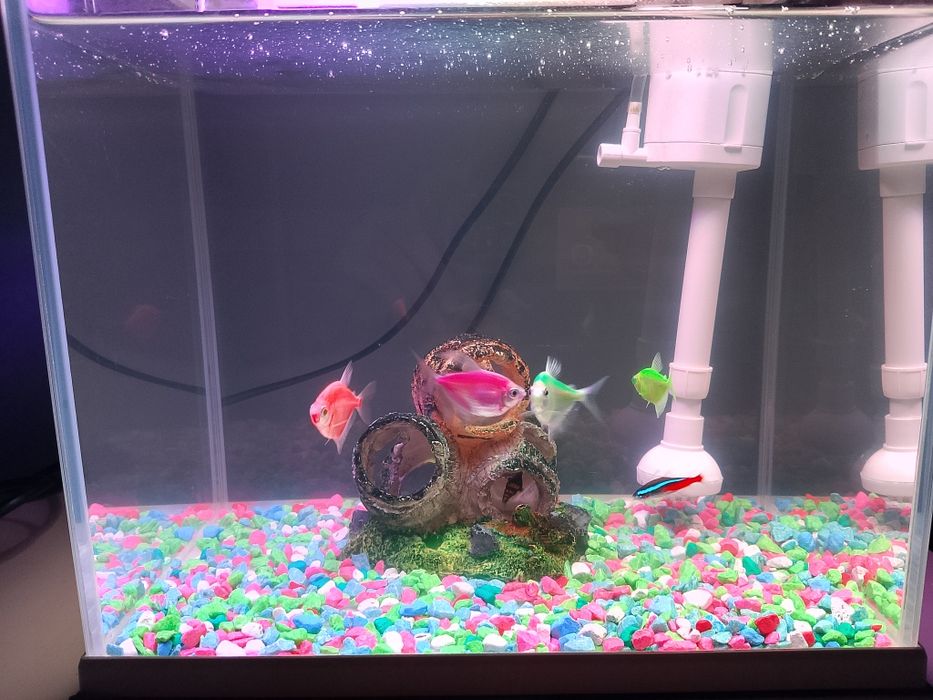 Akwarium na sprzedasz wszystko co na zdj w bardzo dobrym stanie jak no