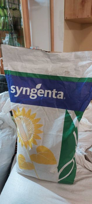 насіння соняшнику