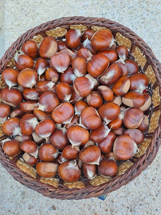 Castanhas Caseiras