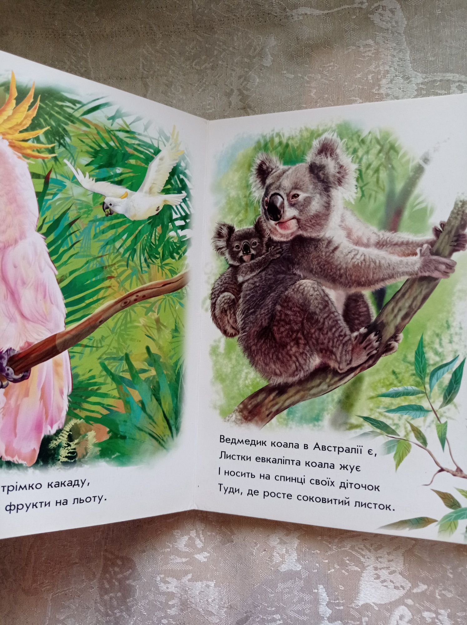 Книга Лісові звірята Олеся Квітка 21см×14см