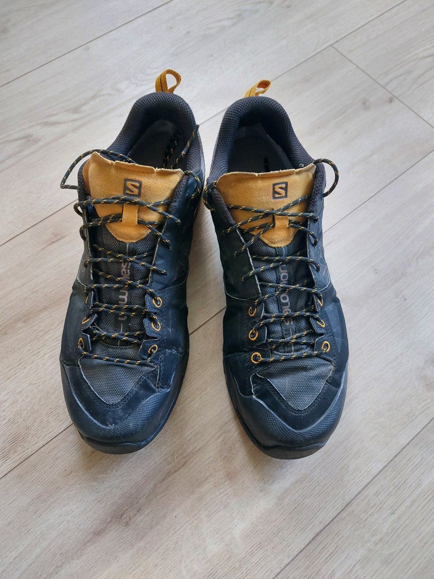 Salomon X Alp Spry Gtx