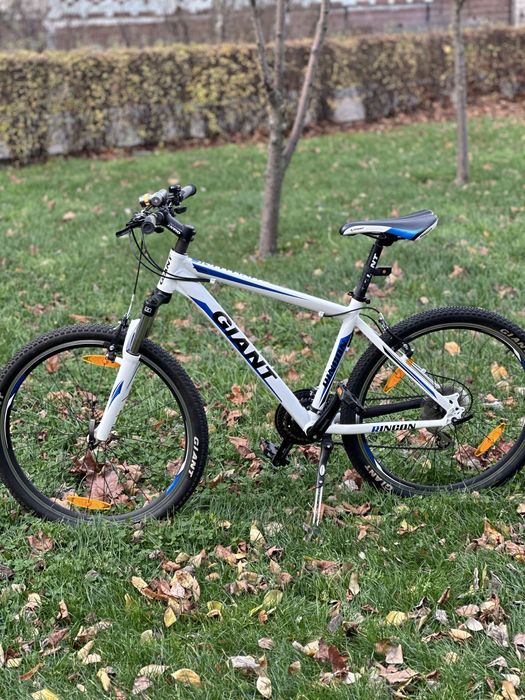 GIANT 26 продам