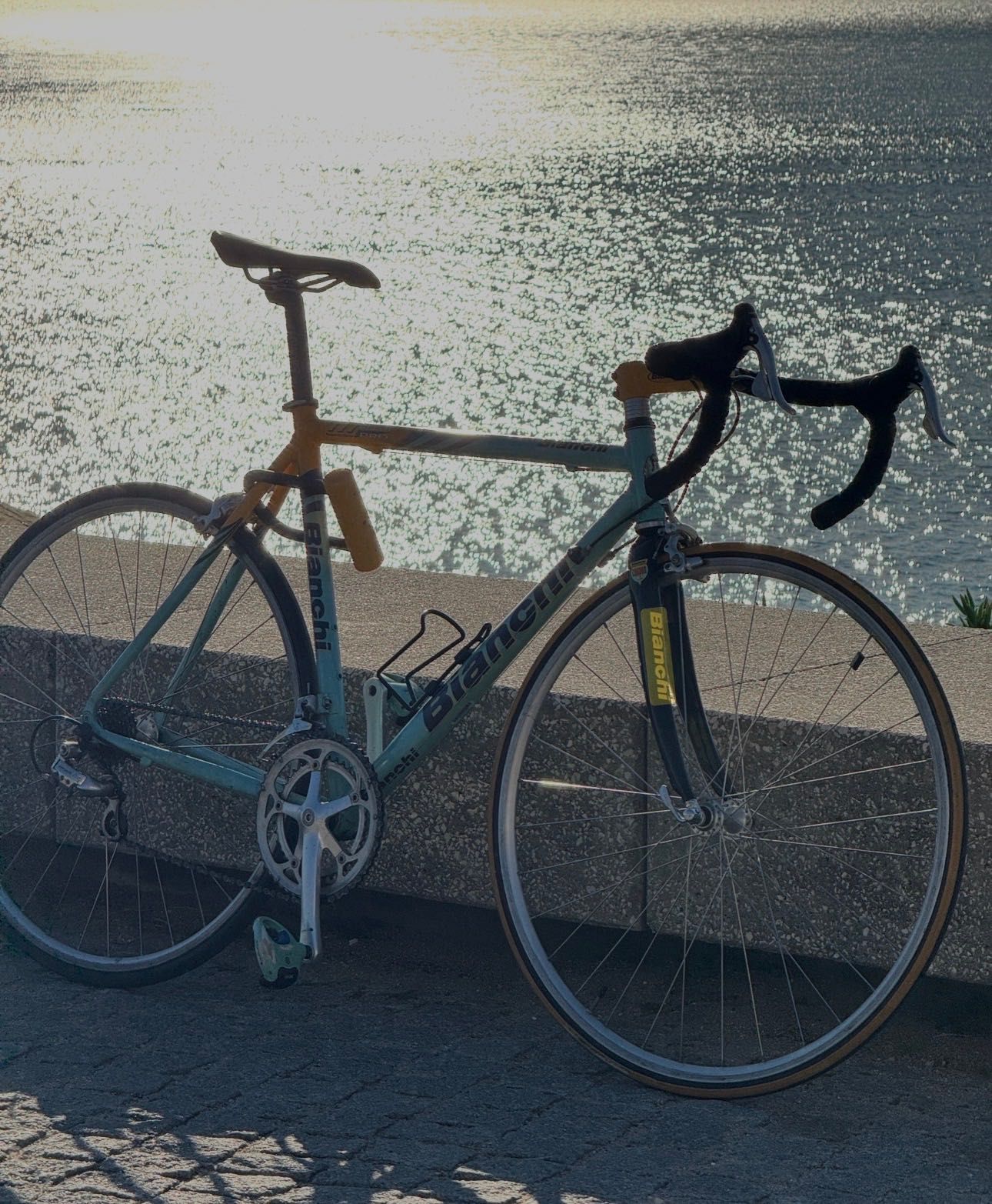 Bianchi Mega Pro Alloy – 1999 – Original