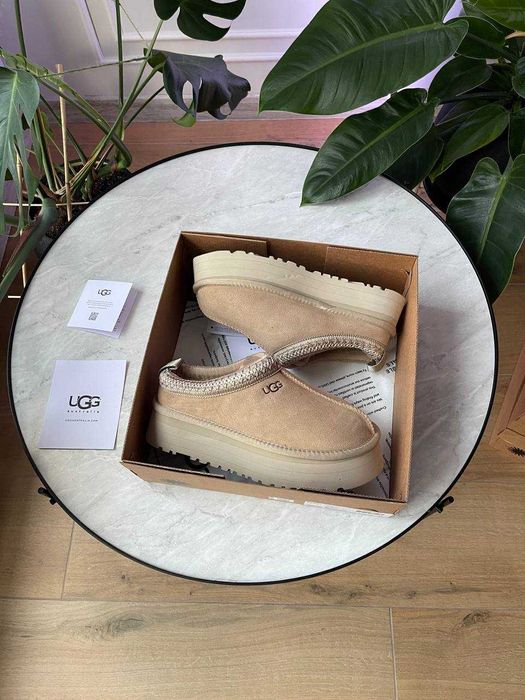 Уггі UGG Tasman Platform Угг Тасман Платформа 3 кольори (36-41)
