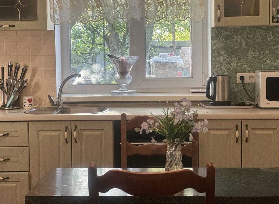 Казковий будинок із садом у центрі села Плесецьке!