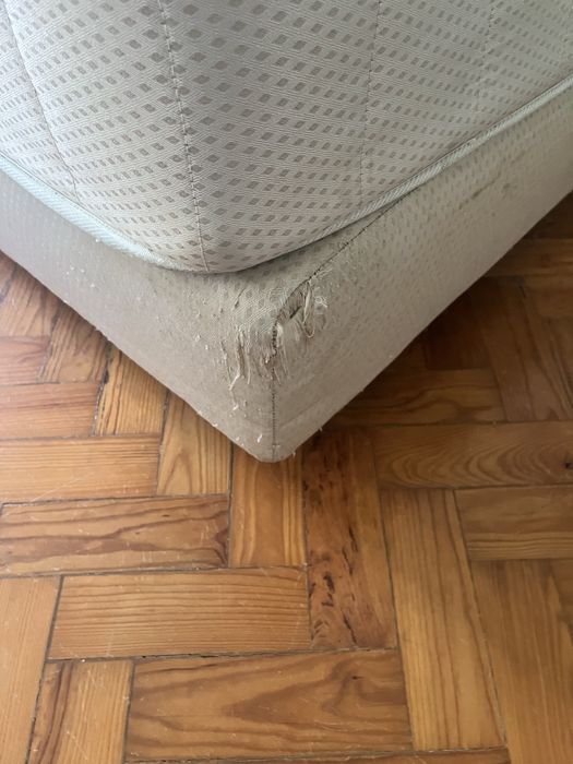 Colhao e sommier individual