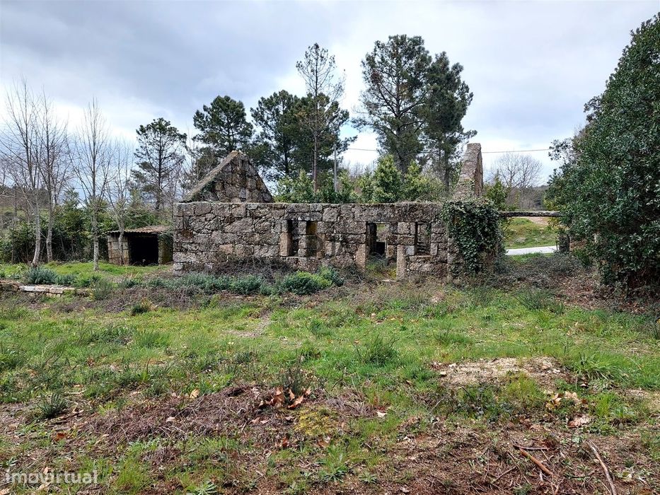 Quinta com 2ha em Fornos de Algodres
