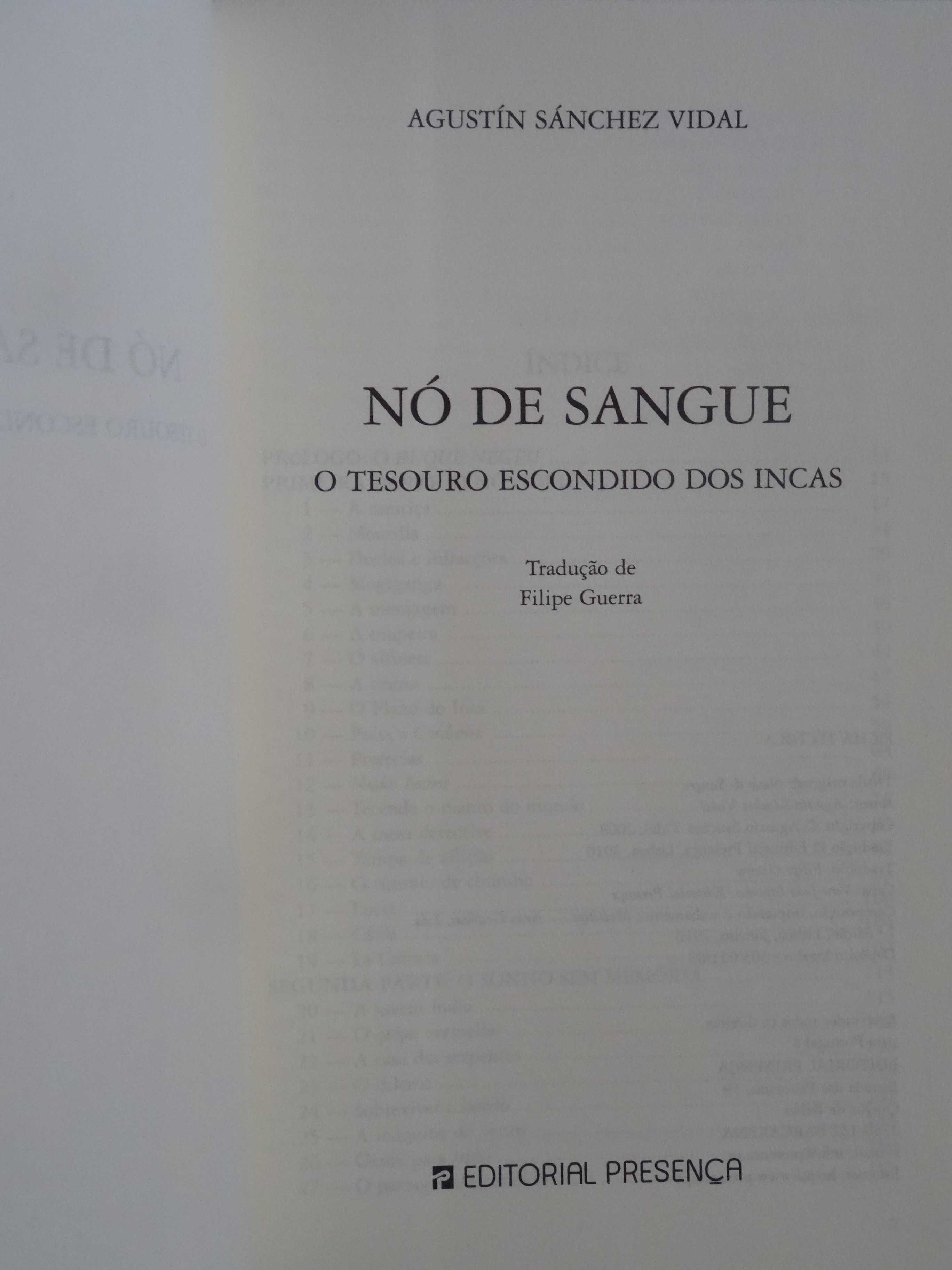 Nó de Sangue de Agustín Sánchez Vidal - 1ª Edição