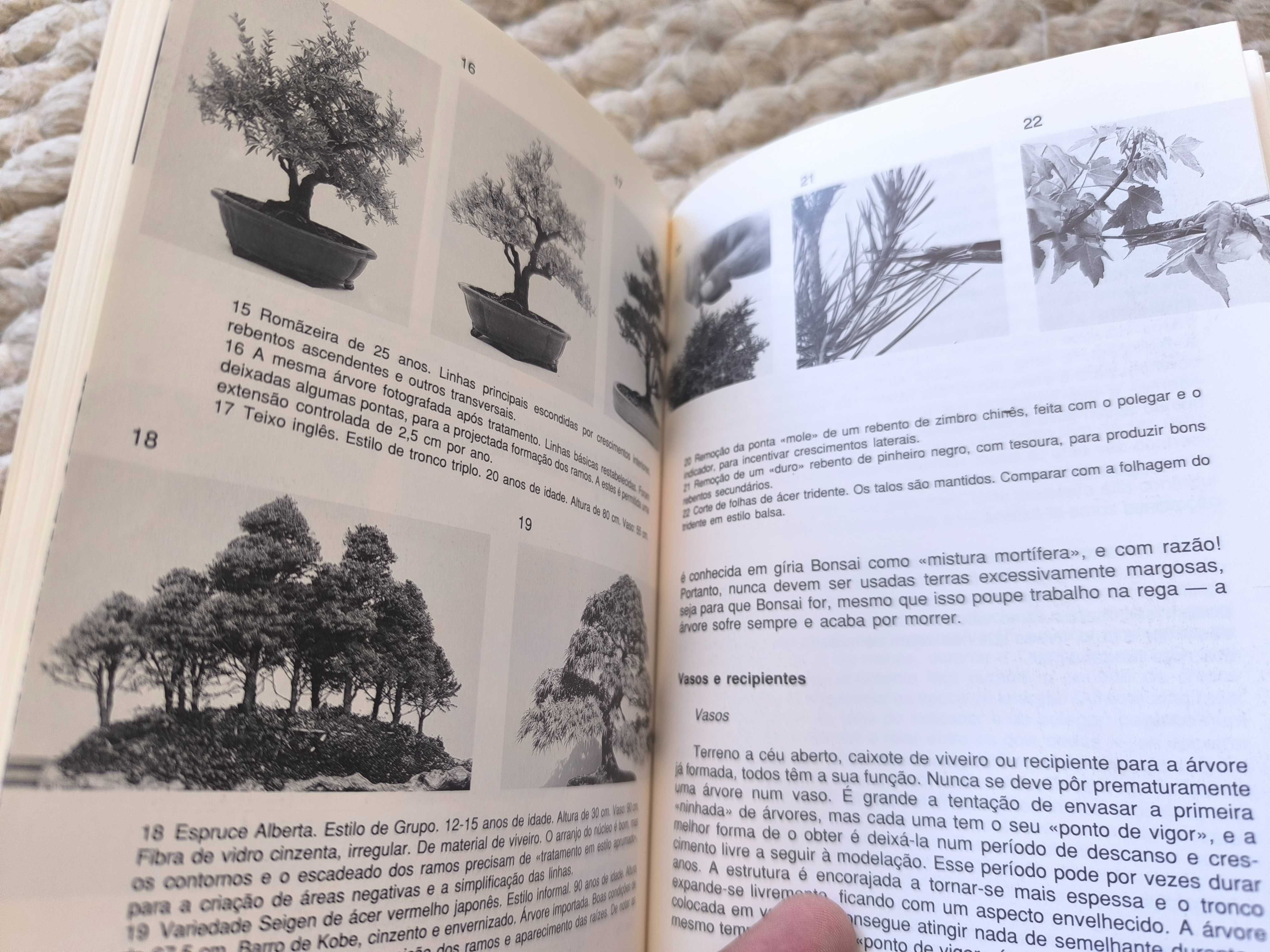 A Arte do Bonsai
de Peter Adams