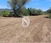 Terreno para Construção em Barbadães de Baixo