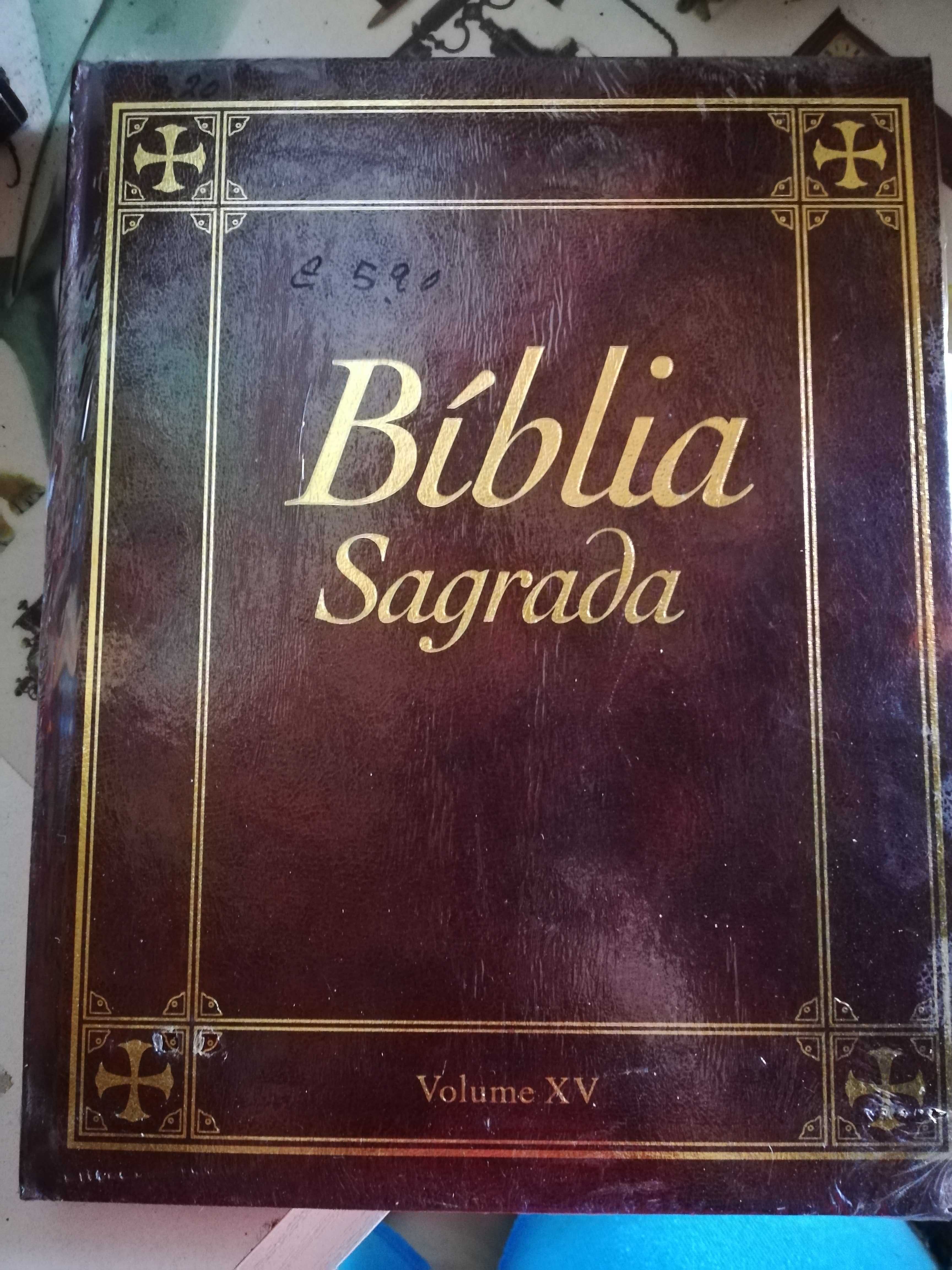 Livros Bíblia colecção