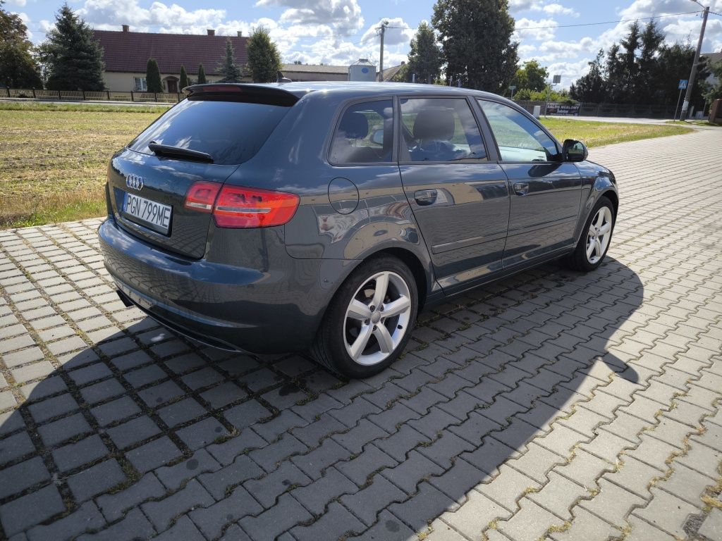 Audi A3 8P DSG F1 Sline