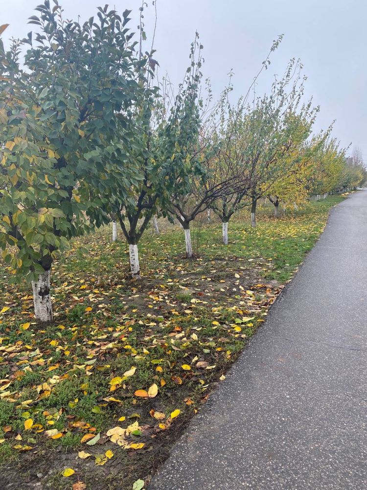 Продам участок 15 соток