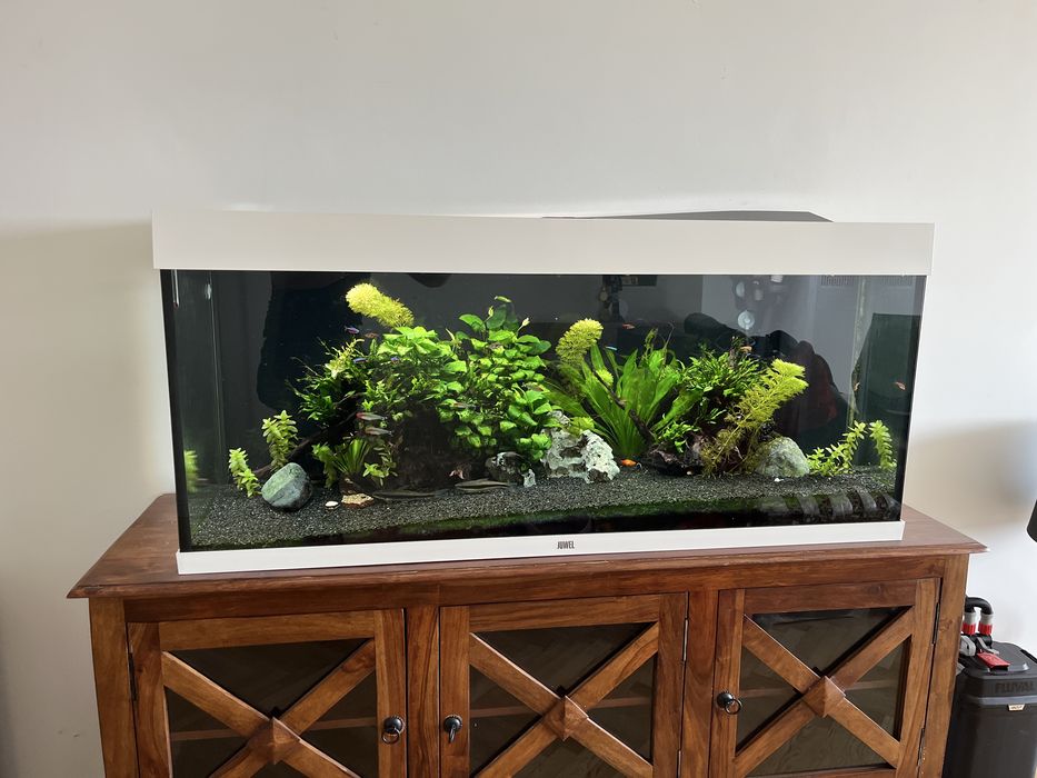 Akwarium Juwel 240 HeliaLux Spectrum 1200