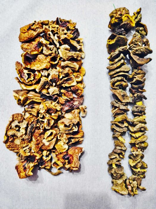 Suszone borowiki i podgrzybki