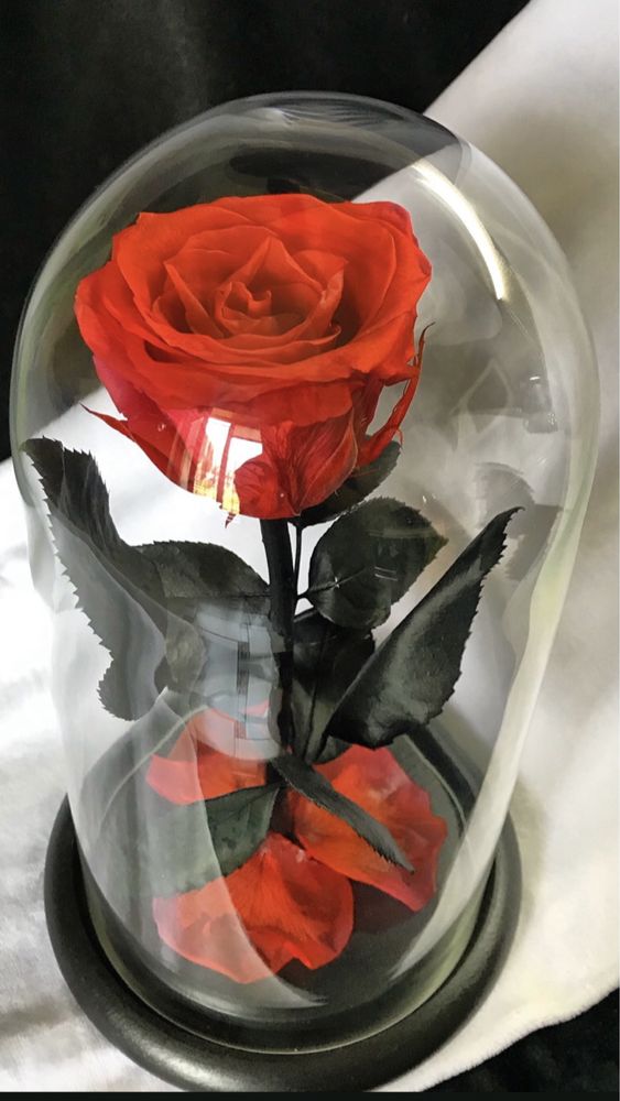 живая роза в вазе, подарок, 700 гр