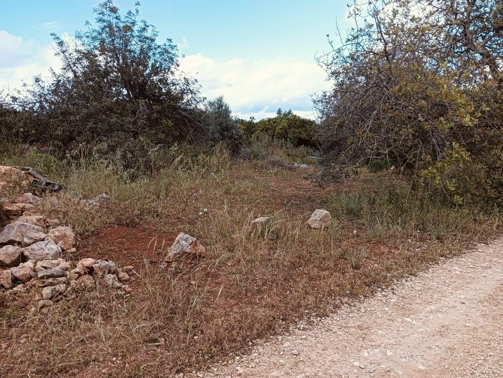 Vendo terreno agrícola