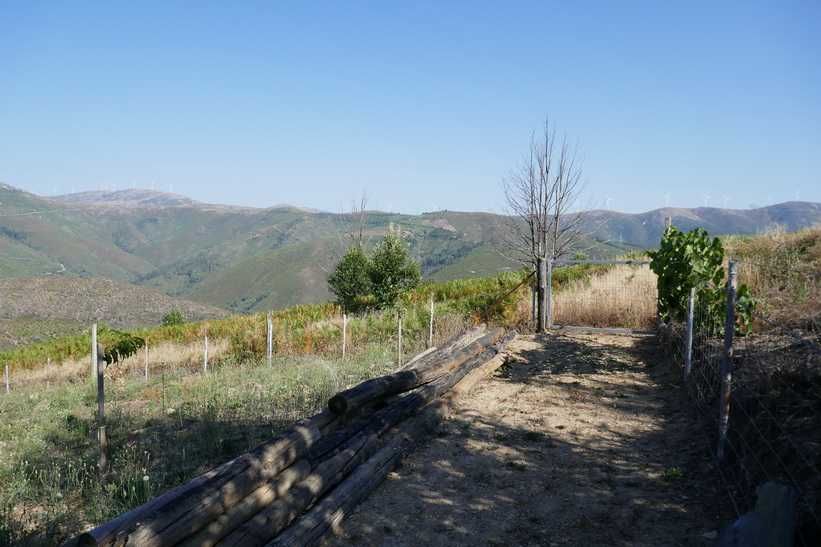 Terreno de 2600 m2 com vista de encantar