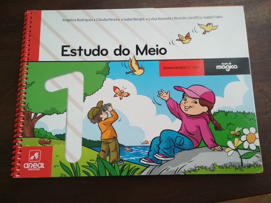 Vários manuais Estudo do Meio primeiro ano