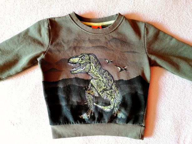 Bluza ciepła dziecięca dla chłopca r.84-88 khaki dinozaur T-rex HIT