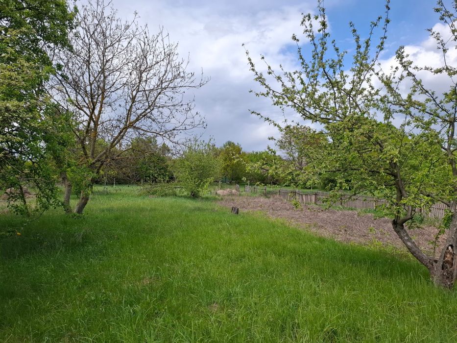 Продаж земельної ділянки в с. Хлепча