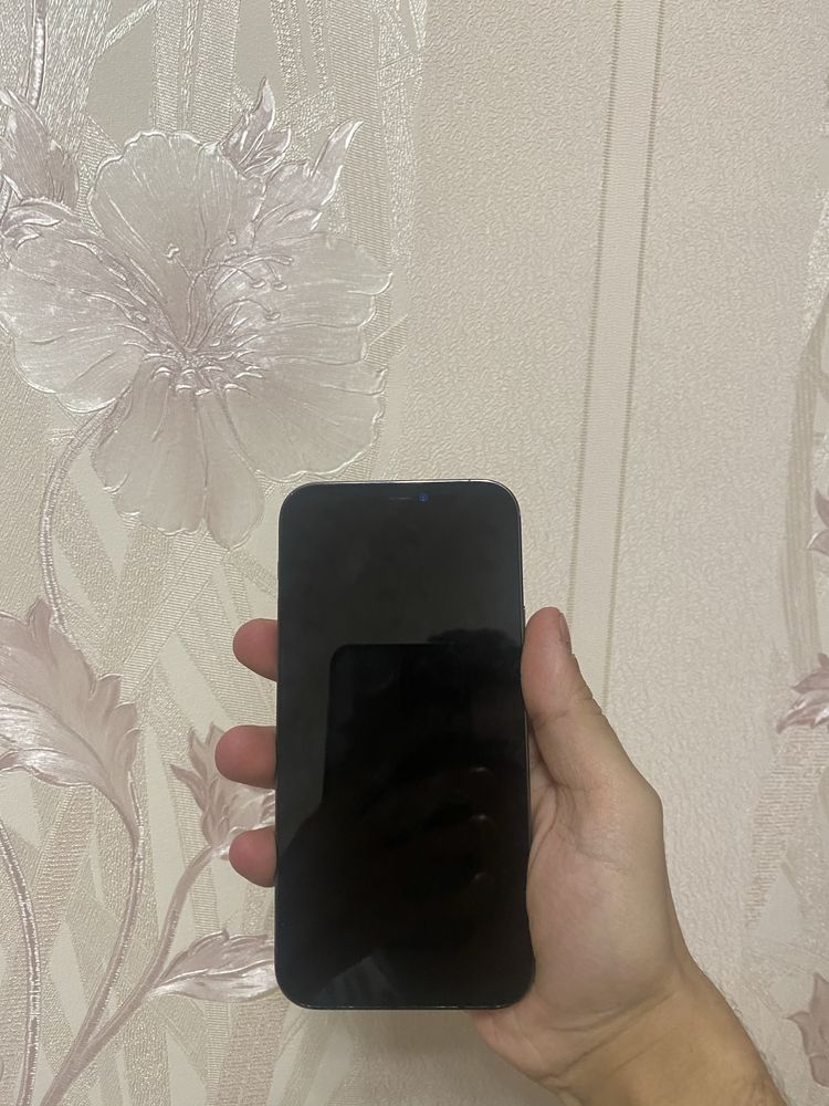 iPhone 12 Pro 128 GB Neverlock