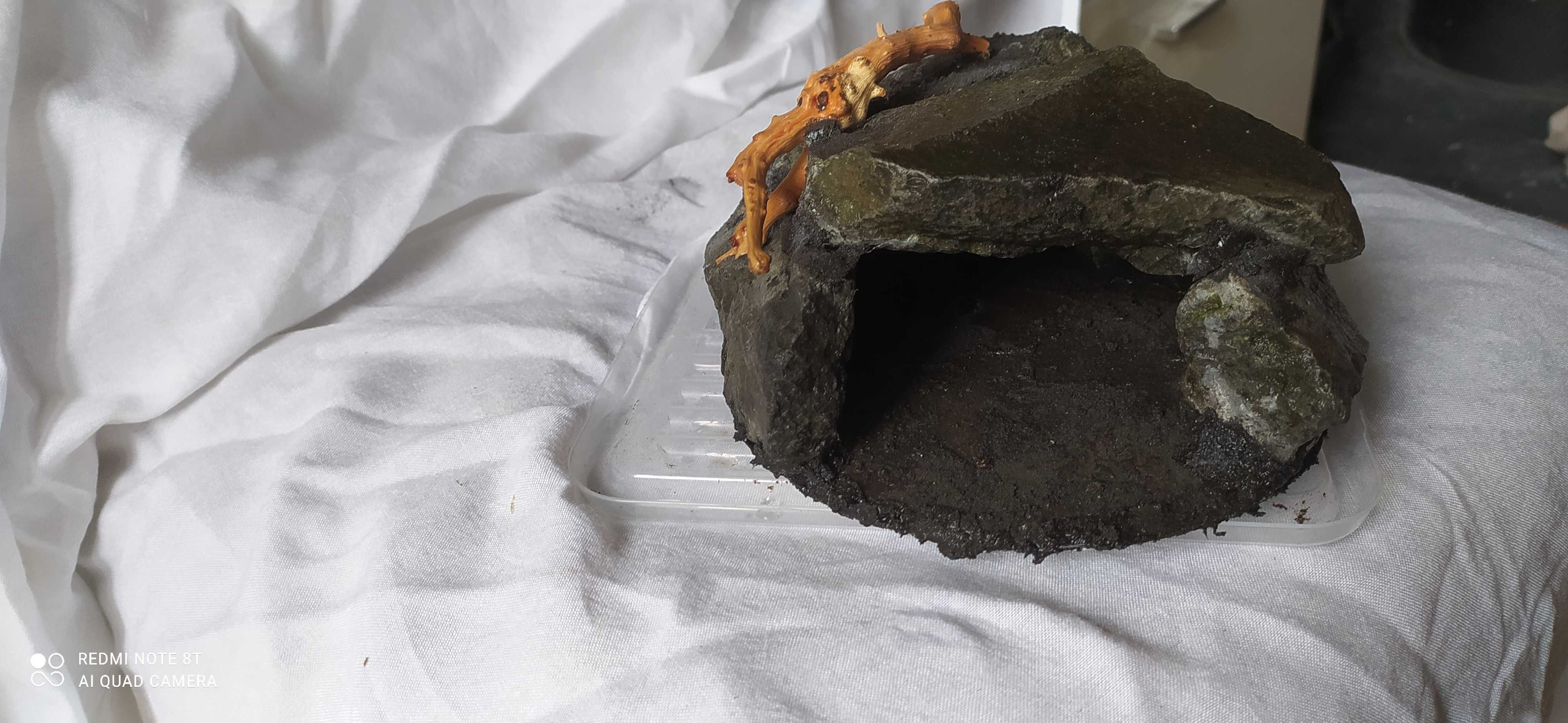 Grota,kryjówka do terrarium