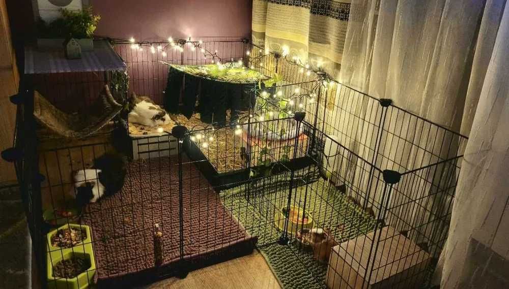 Metalowa zagroda kojec klatka dla królików świnek chomików 143x73x46