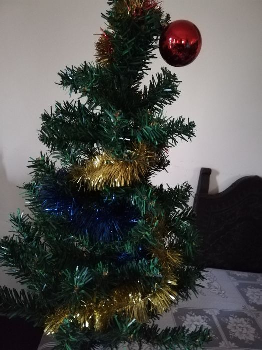 Pinheiro de natal