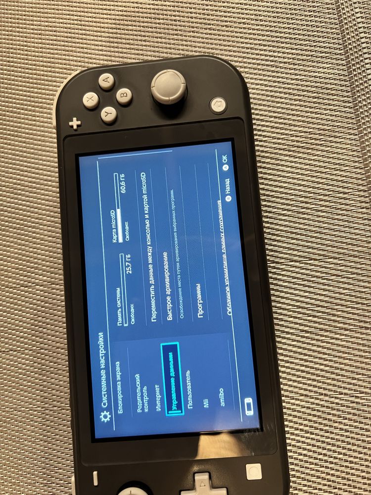 Nintendo Switch lite 25g + 124 sd