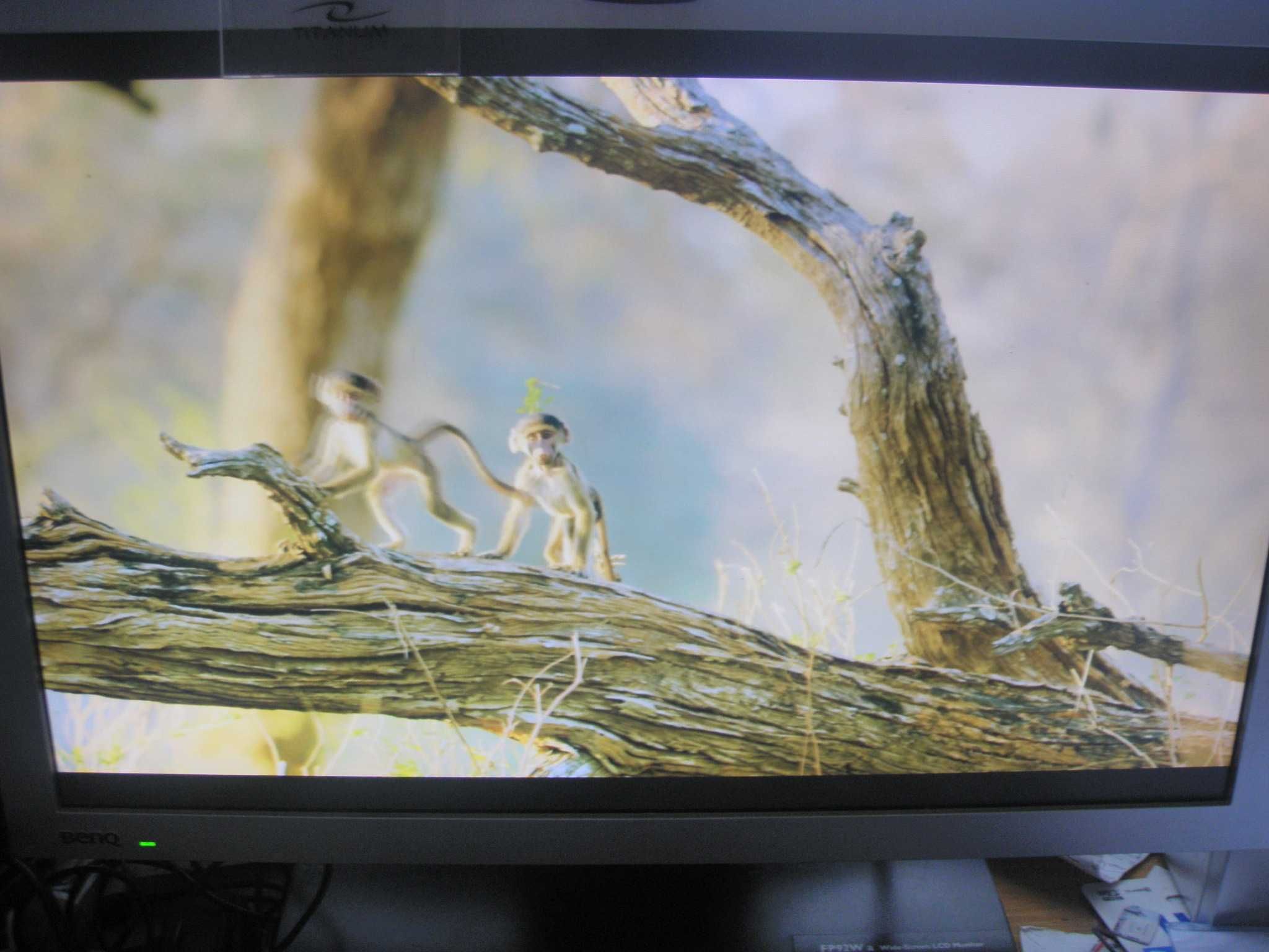 Monitor BENQ 19" Tco 03 Displeys ładne kolory stan bdb