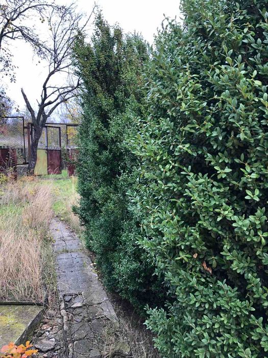 Продам Дачу за Сливино не доезжая Кирьяковки