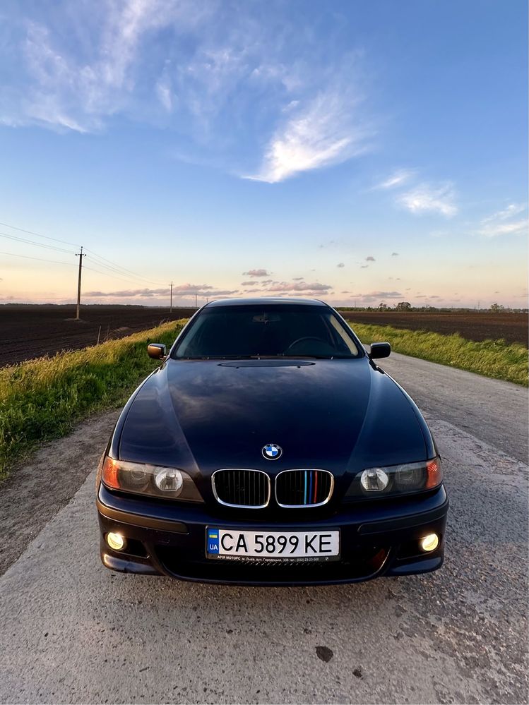 BMW 530d E39 (БЕЗ ДТП)