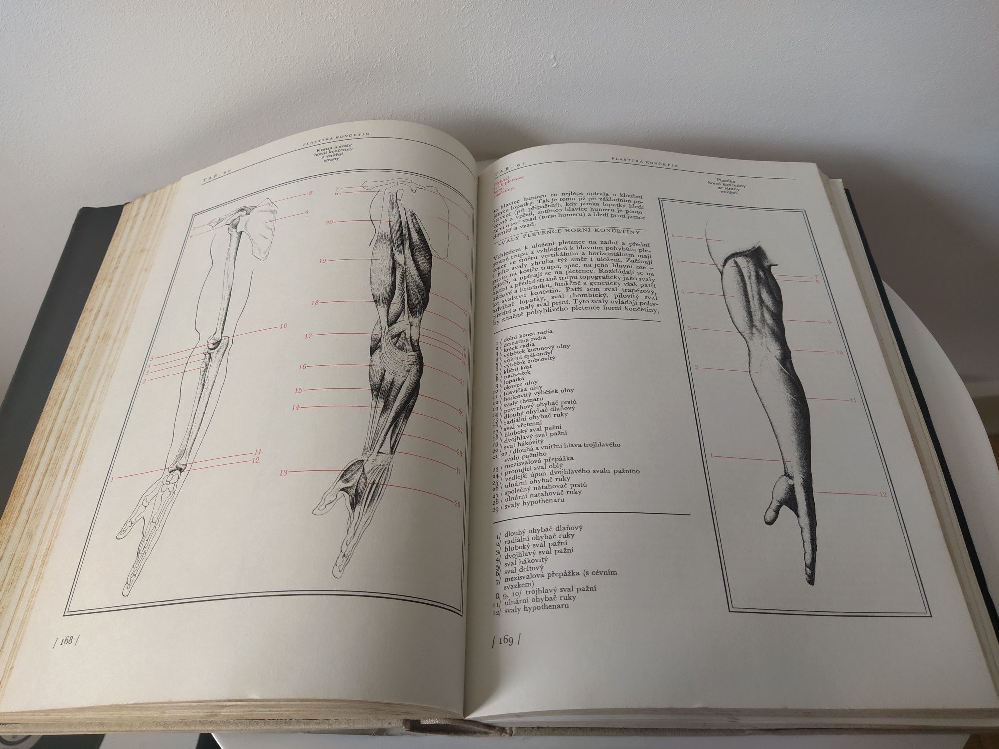 Anatomie pro výtvarníky, Zrzavý Josef; anatomia dla artystów