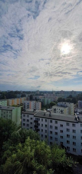 Kawalerka do wynajęcia