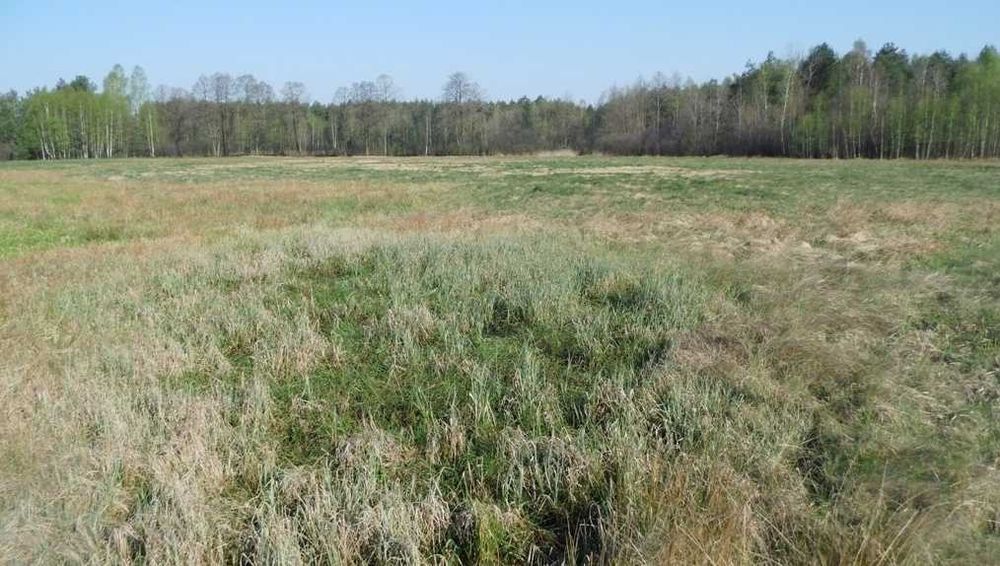 Sprzedam działkę rolną