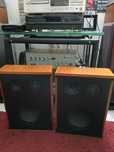 Isophon FSB 5002 - monitory flat, Alnico
