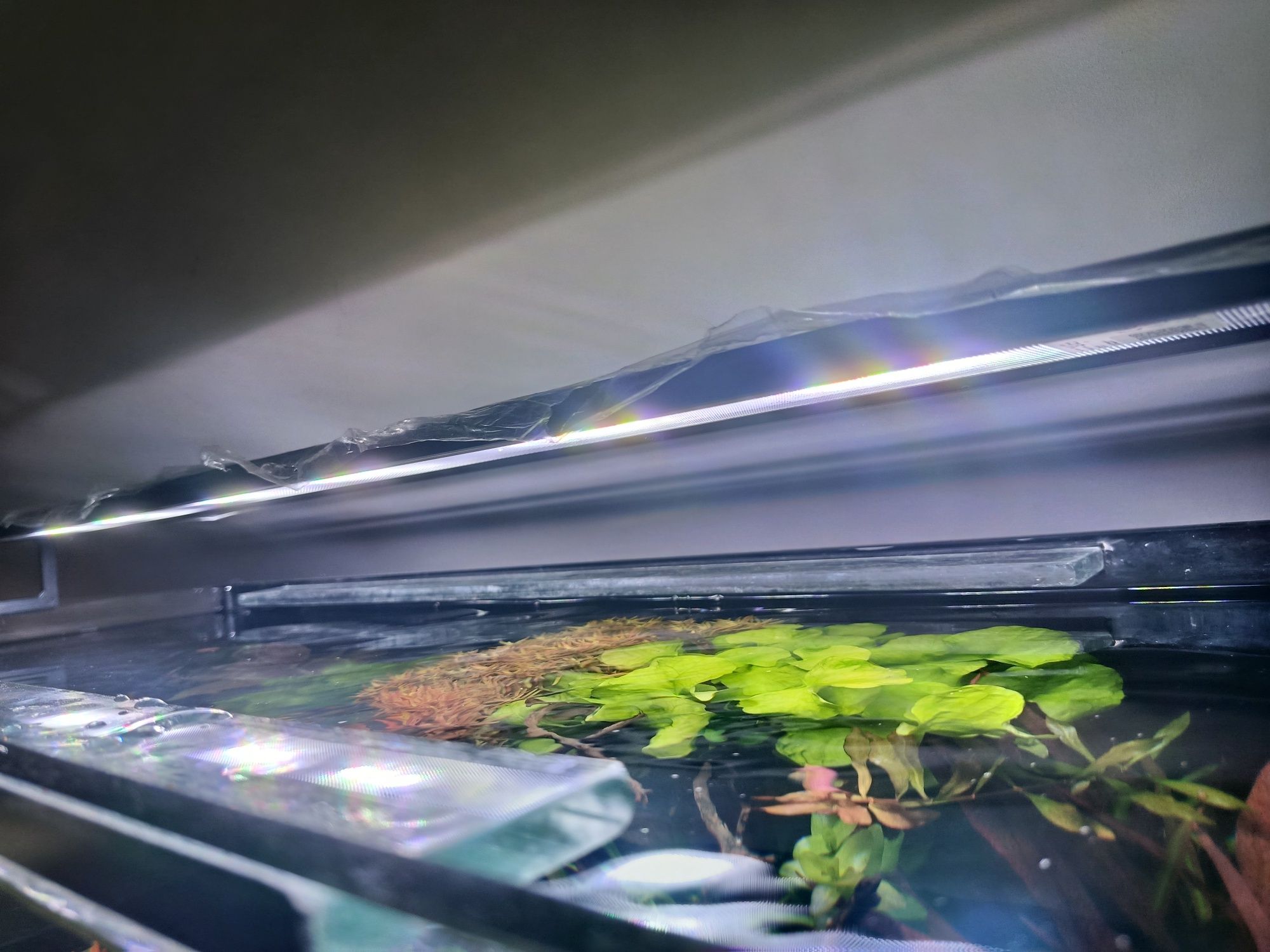 Skylight FOQAL FXL2.90 H Oświetlenie LED 60W do akwarium WiFi + nóżki