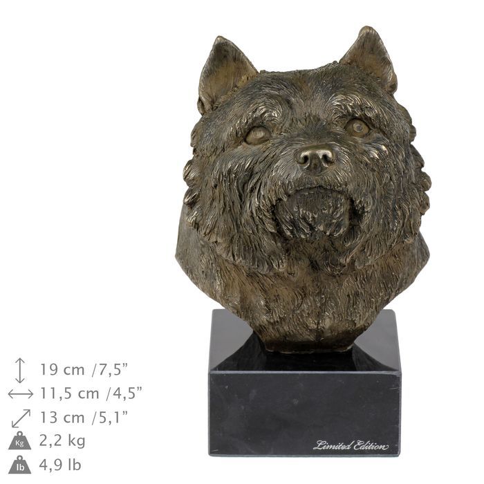 Norwich Terrier głowa na kamieniu Art-Dog