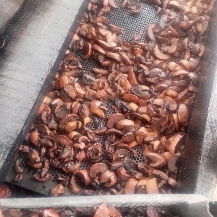 Продам сушені яблука і груші на дровах