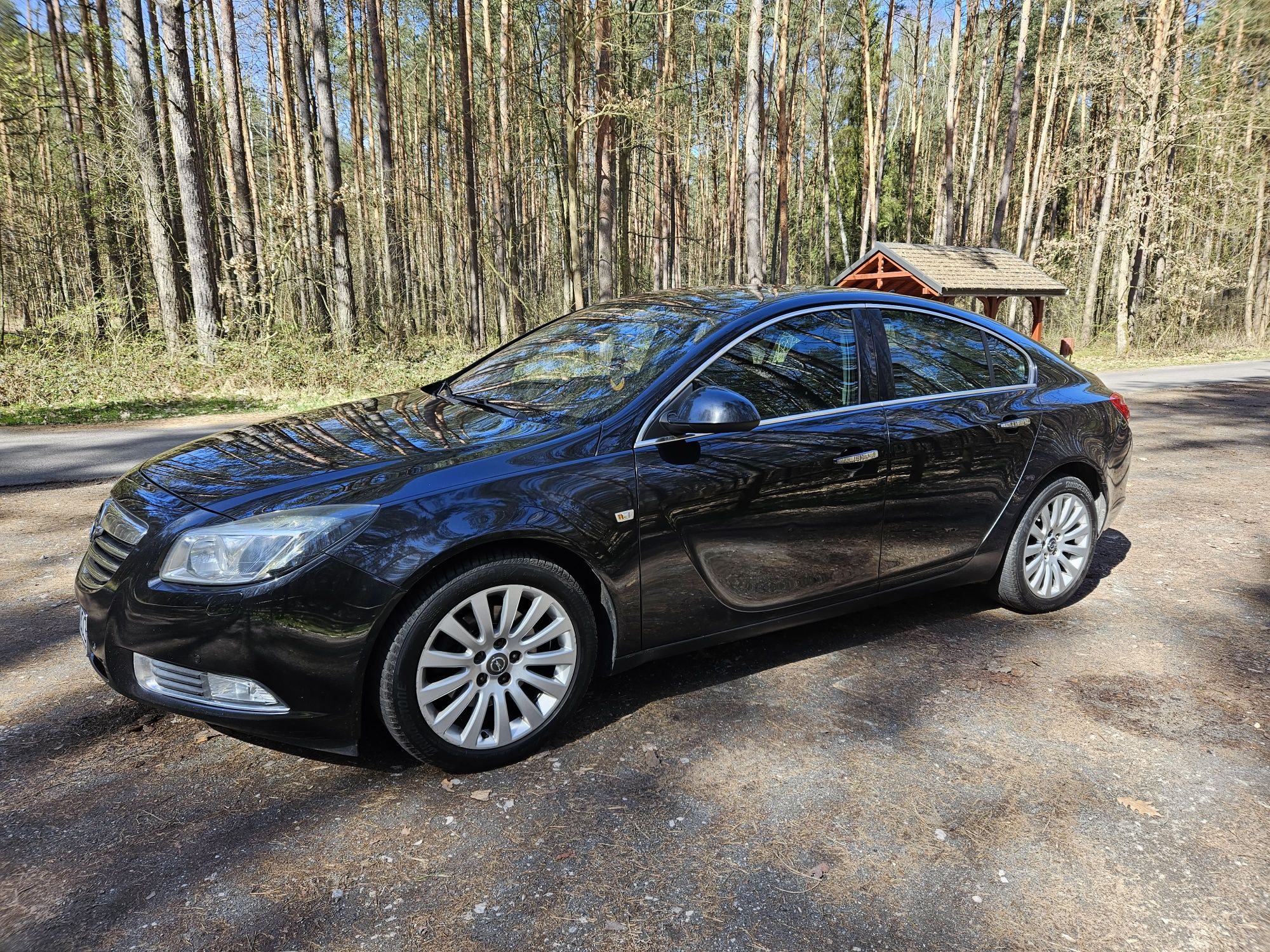 Opel Insignia  bogate wyposażenie