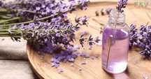 Hidrolatos Artesanais 100% Puros Alecrim, Lavanda, Gerânio, Melaleuca