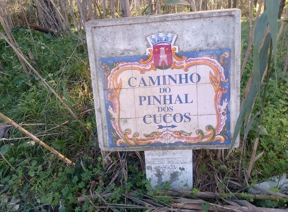 Arrendo terreno em Janas